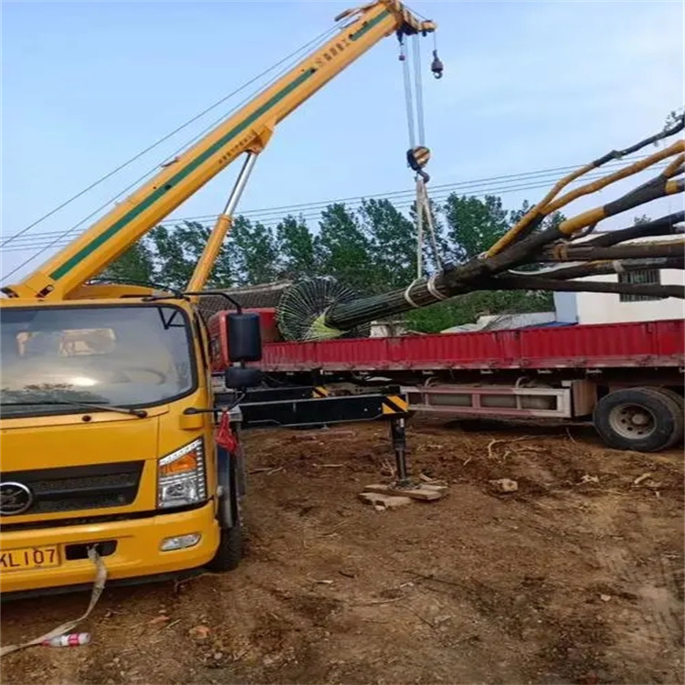 武穴100吨吊车租赁费用怎么算？3大关键因素+省钱技巧全解析